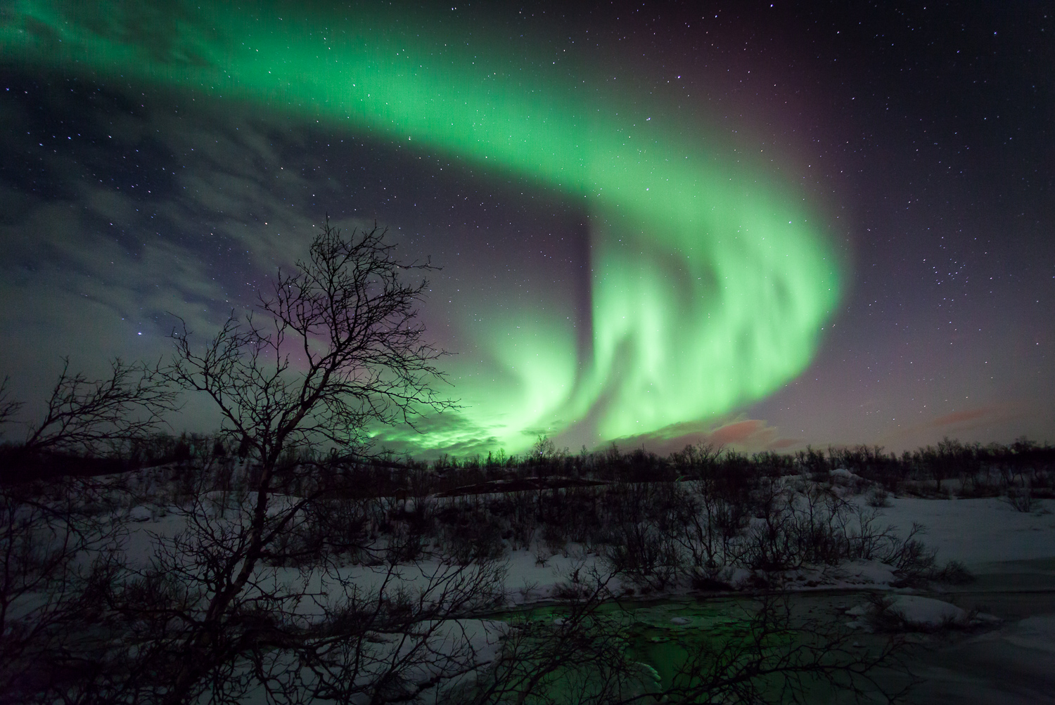 Grønt nordlys over snødekt landskap på Ringvassøya ved Tromsø